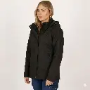 Generated Image February 13, 2026 - 11_36AM.webp