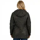 Generated Image February 13, 2026 - 12_00PM (1).webp